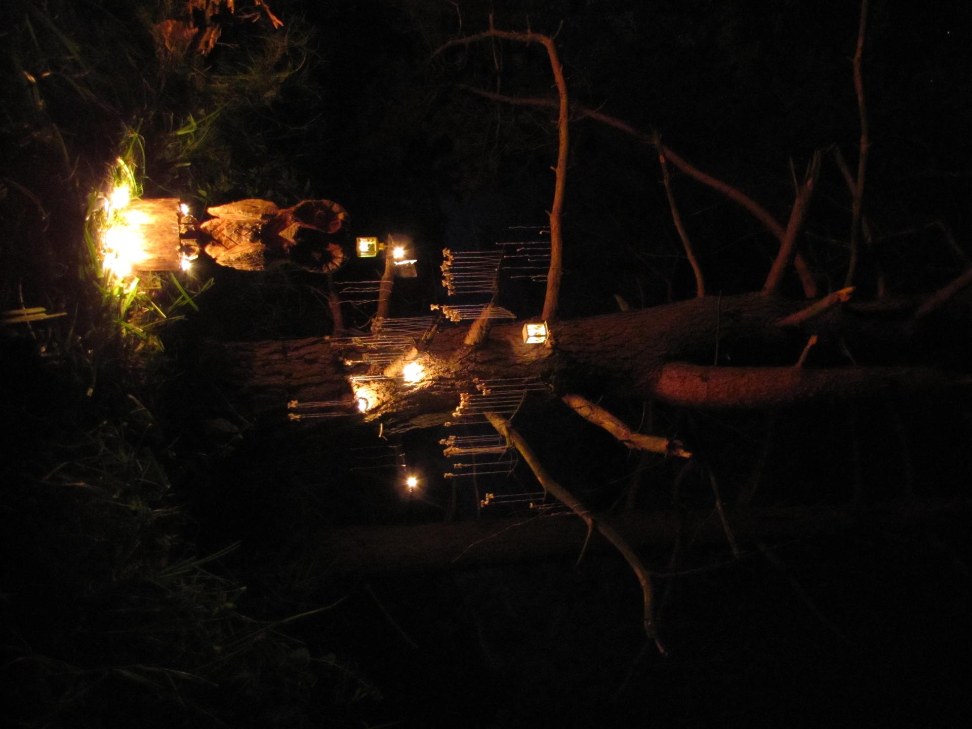 Karštejn 2012 Image 136